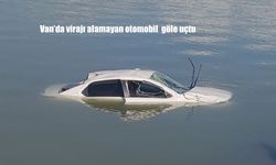 Direksiyon hâkimiyetini kaybeden sürücünün aracı gölete uçtu, çevredekiler yardıma koştu