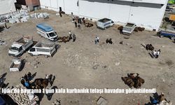 Iğdır’da Kurbanlık Hareketliliği Havadan Görüntülendi: Bayram Öncesi Yoğun Talep