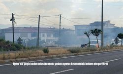 Yolun Ortasında Çıkan Yangın Trafikte Panik Yarattı