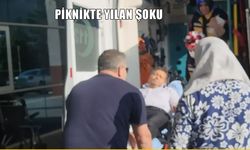 Ailesiyle Pikniğe Gitti, Engerek Yılanı Tarafından Isırıldı