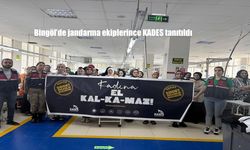 Bingöl’de 402 Kişiye KADES Uygulaması Tanıtıldı: Jandarma’dan Kadına Yönelik Şiddete Karşı Bilgilendirme Atağı
