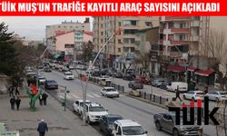 Muş'ta trafiğe kayıtlı araç sayısı açıklandı