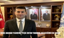 Ülkü Ocakları'ndan orman yangınlarına karşı seferberlik çağrısı