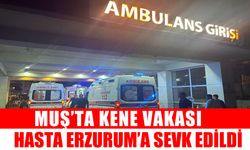 Muş’ta kene paniği: 1 kişi Erzurum’a sevk edildi