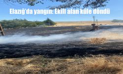 Elazığ’da Korkutan Yangın: 3 Dönüm Ekili Alan Alevlere Teslim Oldu