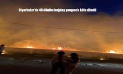 Diyarbakır Ergani'de 40 Dönümlük Buğday Tarlası Yangında Kül Oldu