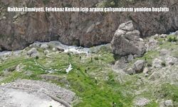 Hakkari'de Kayıp Kadın İçin Geniş Çaplı Arama Yeniden Başladı: 90 Kişilik Ekip Seferber Oldu