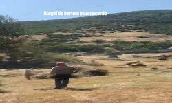 Bingöl’de Hortum Etkisiyle Çiftçilerin Topladığı Otlar Uçtu: O Anlar Kamerada