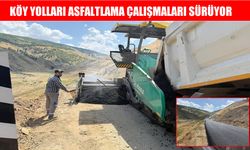 Muş’ta BSK yol yapım çalışmaları devam ediyor