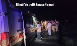 Bingöl Genç’te Trafik Kazası: Takla Atan Araçta 4 Kişi Yaralandı