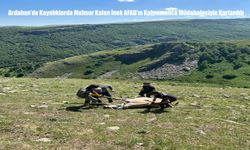 Ardahan'da Kayalıklarda Mahsur Kalan İnek AFAD’ın Kahramanca Müdahalesiyle Kurtarıldı
