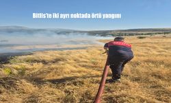 Bitlis Tatvan’da Örtü Yangını Kabusu: Piknik Ateşleri 45 Dönümlük Alanı Kül Etti