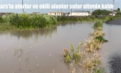 Kars Akyaka'da Şiddetli Sel Felaketi: Ahırlar ve Tarım Arazileri Sular Altında Kaldı