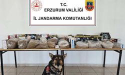 Horasan’da Tütün Köpeği “Zahir”in Katkısıyla Başarılı Operasyon