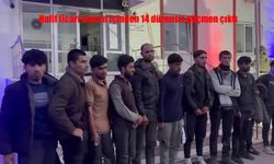 Bingöl’de hafif ticari araçta 14 düzensiz göçmen yakalandı!