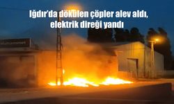 Iğdır Sanayi Bölgesi'nde Çıkan Çöp Yangını Elektrik Direğini Sardı!