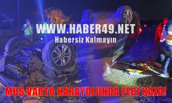 Muş-Varto kara yolunda trafik kazası: 7 yaralı