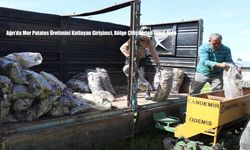 Ağrı’da Mor Patates Üretimini Katlayan Girişimci, Bölge Çiftçilerine Umut Oldu