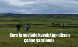 Kars’ta yaylada kayalıktan düşen çoban son anda kurtarıldı!