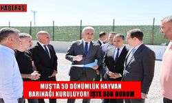 Muş’ta ‘Hayvan Barınağı ve Doğal Yaşam Alanı Projesi’nde sona gelindi