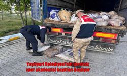 Van Gölü’nde kaçak avcılıkla büyük darbe