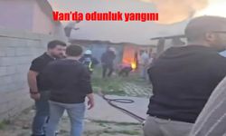 Van Muradiye’de korkutan odunluk yangını!