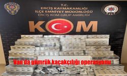 Van'da gümrük kaçakçılığı operasyonu