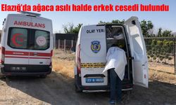 Elazığ’da ağaçlık alanda erkek cesedi bulundu!