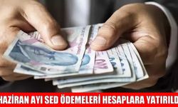 Muşlulara müjde: Haziran ayı SED ödemeleri hesaplara aktarıldı