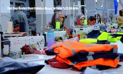 Yurt Dışı Üretici Fiyat Endeksi Mayıs'ta Yıllık %25,34 Arttı