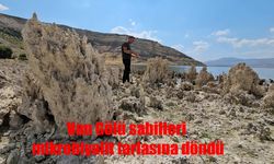 Van Gölü sahilleri mikrobiyalit tarlasına döndü