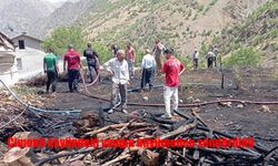 Hakkari’de Korkutan Yangın