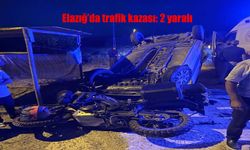 Elazığ-Baskil Yolunda Feci Kaza: 2 Yaralı
