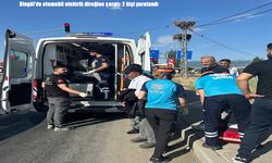 Bingöl’de otomobil elektrik direğine çarptı: 2 kişi yaralandı
