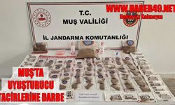 Muş’ta bonzai üretimi yapan 2 kişi suçüstü yakalandı