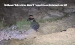 Siirt Pervari’de Kayalıktan Düşen 13 Yaşındaki Çocuk Hastaneye Kaldırıldı!