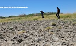 Adilcevaz Heybeli Gölü Kuraklık Nedeniyle Kurudu