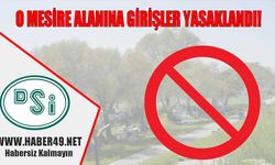 Muş'ta mesire alanına girişler yasaklandı!