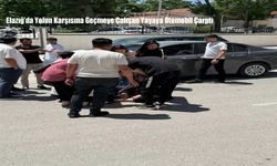 Elazığ’da Yolun Karşısına Geçmeye Çalışan Yayaya Otomobil Çarptı