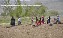 Erzincan’da Mevsimlik Tarım İşçilerinin Zorlu Mesaisi Sıcaklara Rağmen Sürüyor