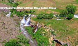 Munzur Dağları’nın Eteklerinde Saklı Cennet: Konarlı Şelalesi