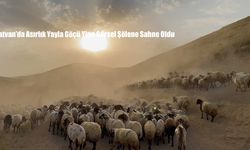 Tatvan’da Asırlık Yayla Göçü Yine Görsel Şölene Sahne Oldu