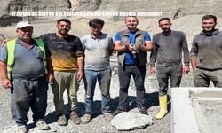 Erzurum’da Kurt ve Ayı Yavrusu Şefkatli Ellerde Hayata Tutunuyor!