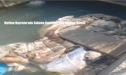 Kurban Bayramı’nda Sulama Kanalları Çöp Alanına Döndü