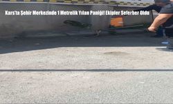 Kars’ta Şehir Merkezinde 1 Metrelik Yılan Paniği! Ekipler Seferber Oldu