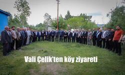 Hakkari Valisi Çelik’ten köy ziyareti
