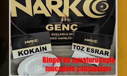 Bingöl Polisi uyuşturucuya geçit vermiyor