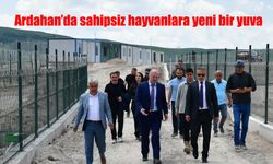 Ardahan’da sahipsiz hayvanlar için umut dolu yeni yaşam alanı açıldı!