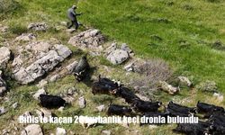 Dağda Kaybolan Kurbanlıklar Dron Desteğiyle Bulundu