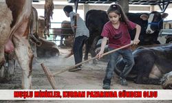 Muş’tan Bursa’ya giden küçük kardeşler, kurban pazarının ilgi odağı oldu